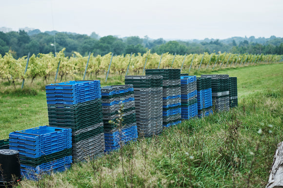 Harvest Report for 2020