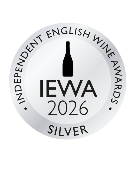 Our new release 2023 London Brut wins Silver Medal IEWA award