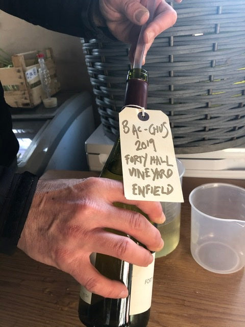 In-house wine experimentations