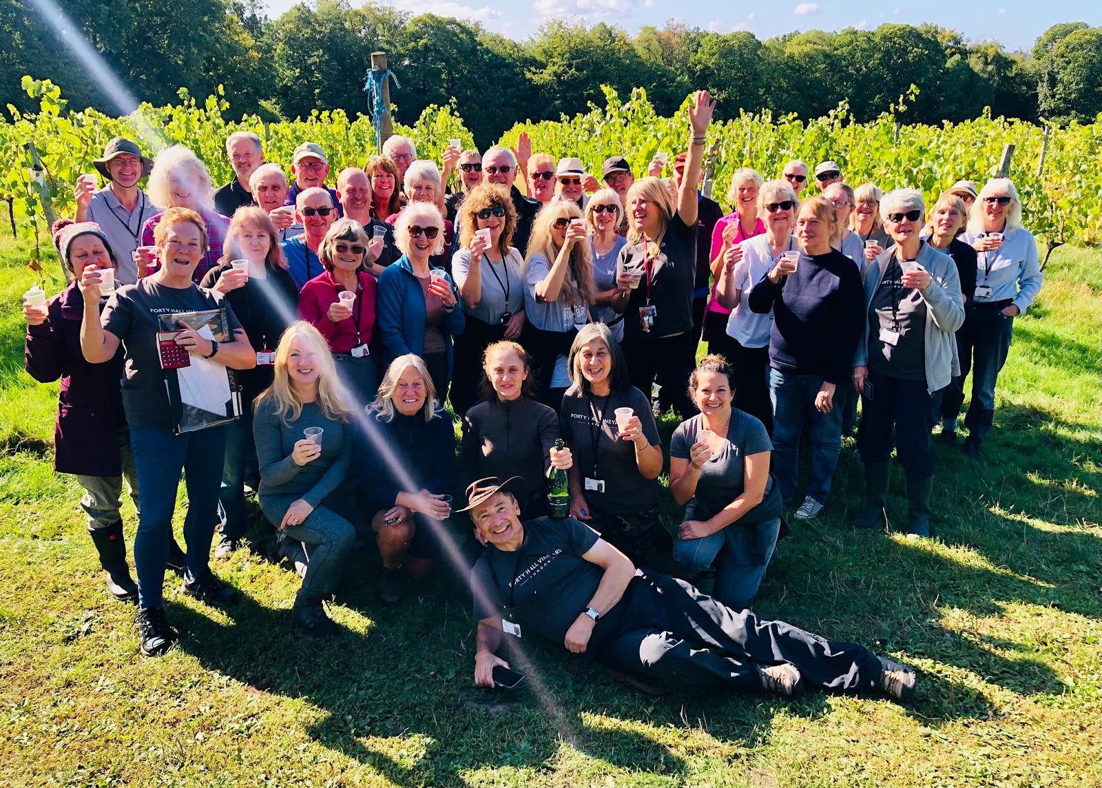 Harvest reflections from an FHV volunteer