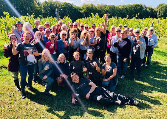 Harvest reflections from an FHV volunteer