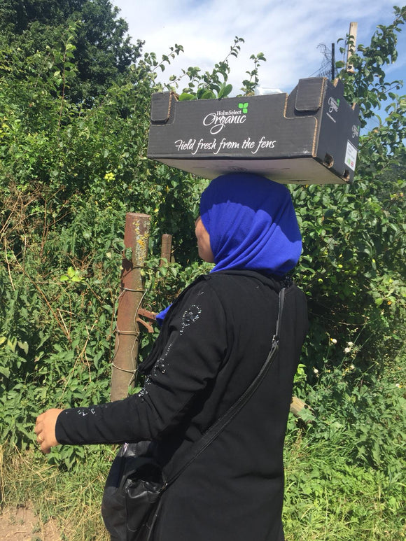 FHV Welcomes Syrian refugee women and children