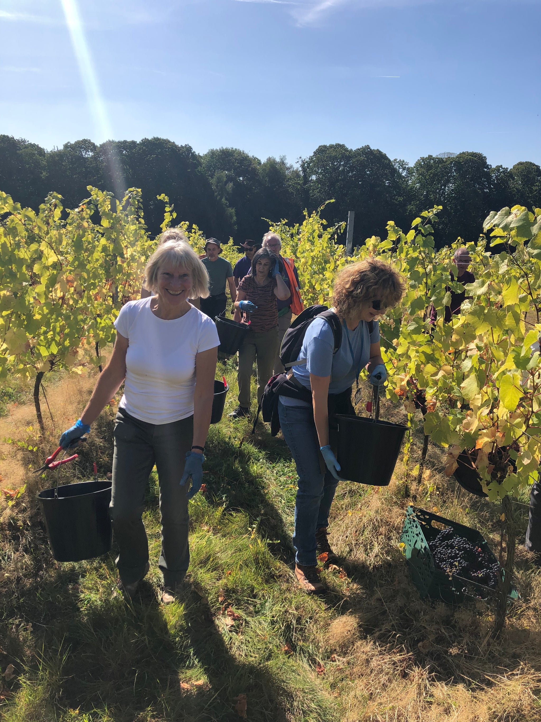 Harvest is underway!