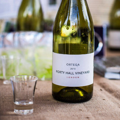 Critical Acclaim for 2015 Ortega and Bacchus from Matthew Jukes