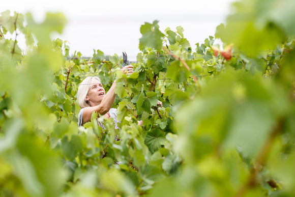 FHV FEATURES IN TIME OUT MAGAZINE