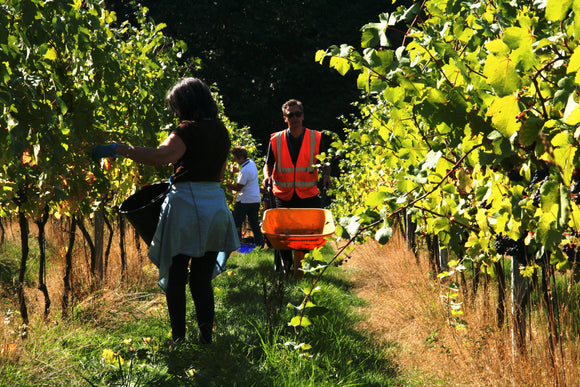 Harvest 2018 has begun!