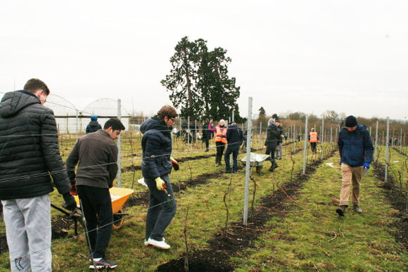 FHV WELCOMES A TON OF FERTILISER AND 50 TEENAGE SCHOOLBOYS!