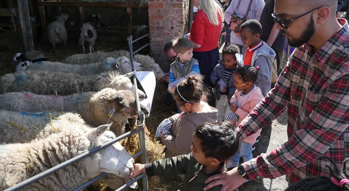 Lambing Weekend at Forty Hall Farm