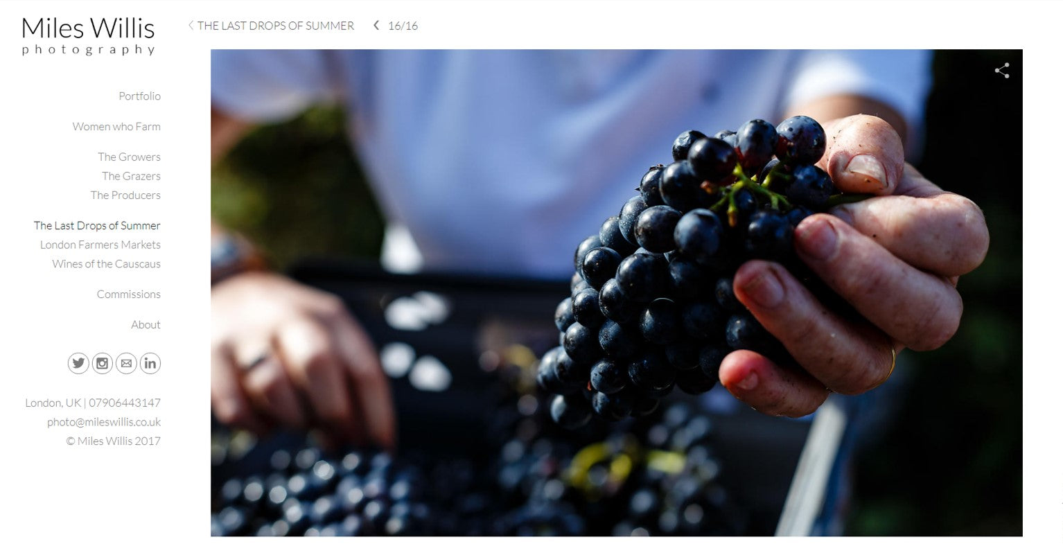 Photographer, Miles Willis captures FHV Harvest 2018