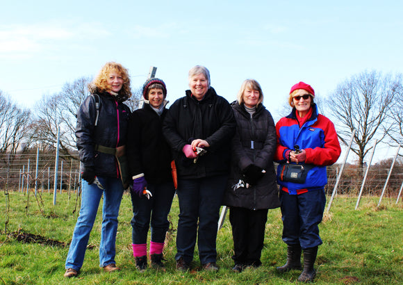 WOMEN AT FORTY HALL VINEYARD