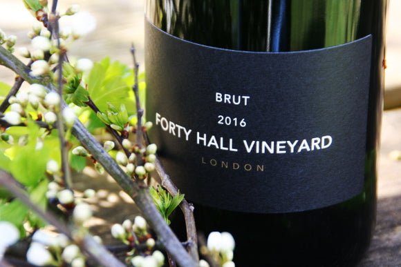 Spring is in the air!