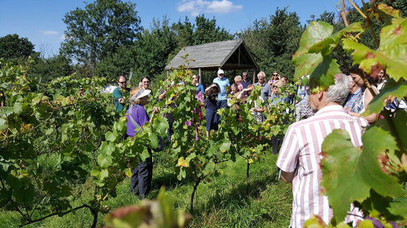 Enfield Food Festival