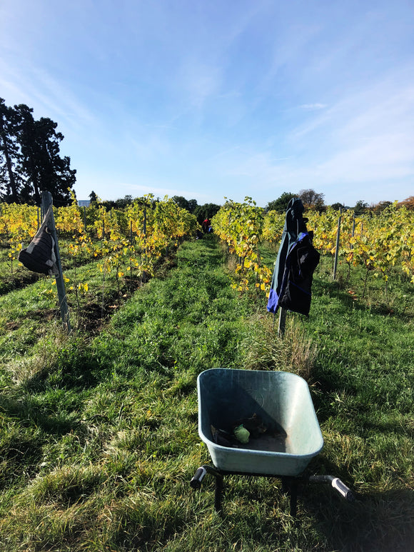 The work continues ...