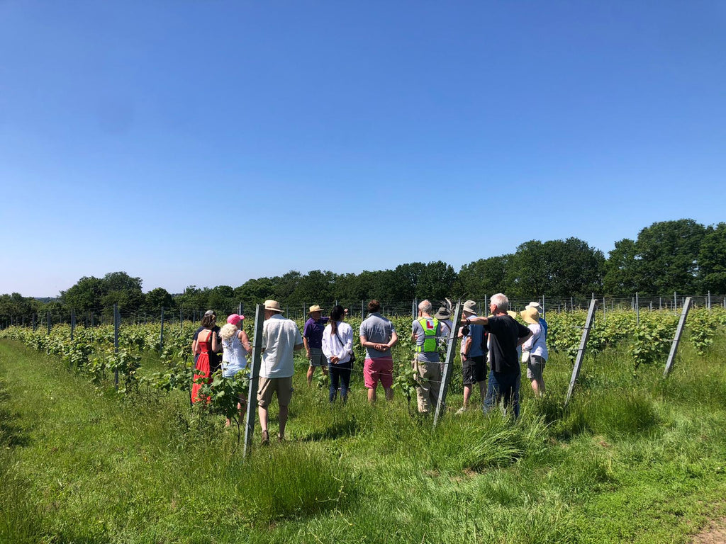 Forty Hall Vineyard Gift Card