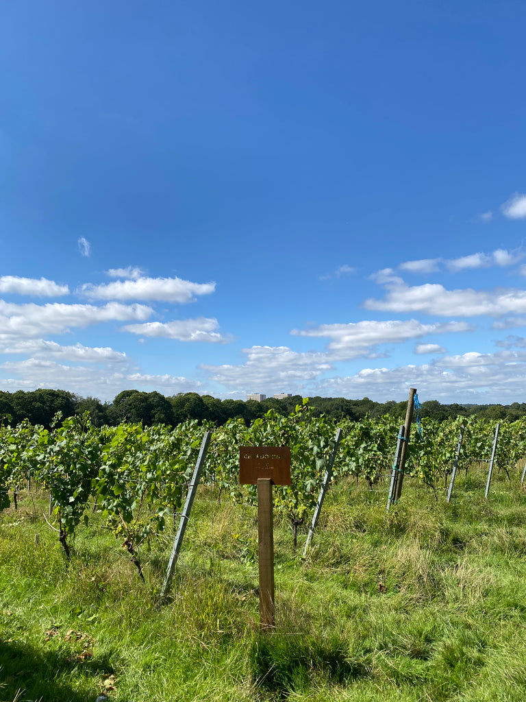 Forty Hall Vineyard Gift Card